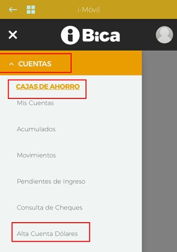 Comprá dólares con iBica en pocos pasos - Mutual del Club Atlético Pilar