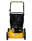 Cortadora de Cesped Combustion Severbon GH 20 B&S 450 CR - Proveeduria de la Mutual del Club Atletico Pilar