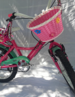 Bicicleta Dama Full Rodado 16 Con Estabilizador y Portamuñecas - Proveeduria de la Mutual del Club Atletico Pilar