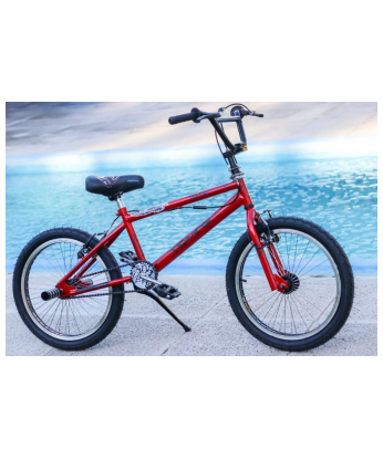 Bicicleta Freestyle Rodado 20 STD Con Rotor [3000]