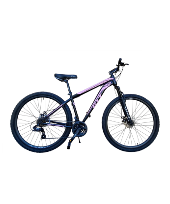 Bicicleta MTB GTL Acero Rodado 29 Frenos a Disco Mecanico 21 Velocidades [6000]
