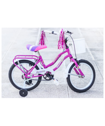 Bicicleta Paseo Dama Full Rodado 16 Con Estabilizador [1010]