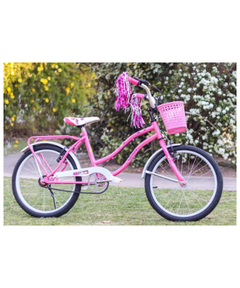 Bicicleta Paseo Dama Full Rodado 20 [1009]