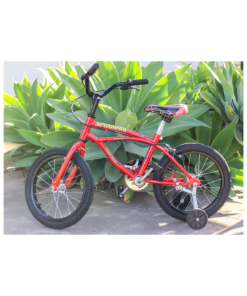 Bicicleta Playera Varón Rodado 16 Con Estabilizadores [2009]