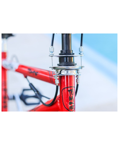 Bicicleta Freestyle Rodado 20 STD Con Rotor - Proveeduria de la Mutual del Club Atletico Pilar